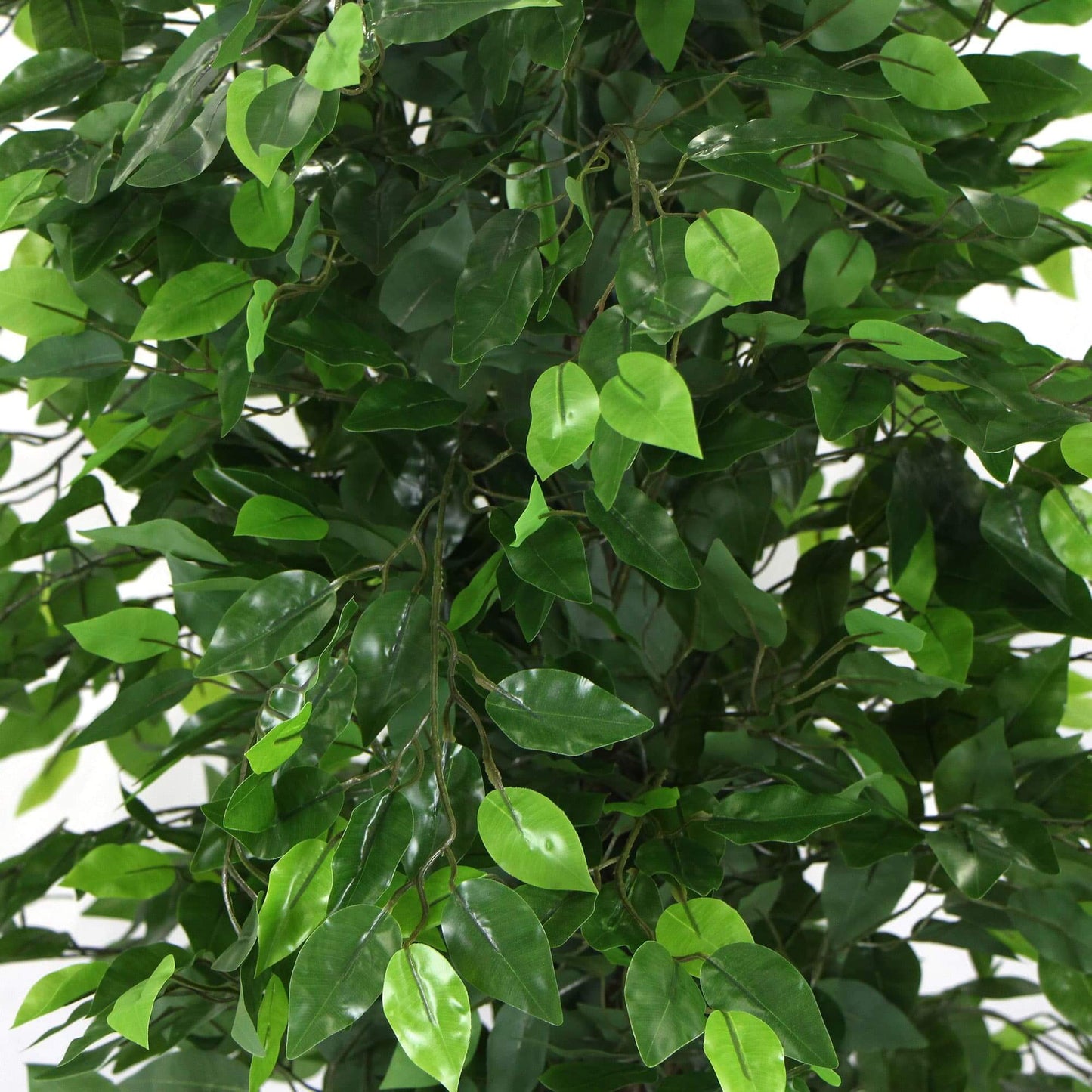 BABYLON Artificial Ficus Benjamina Tree 180cm