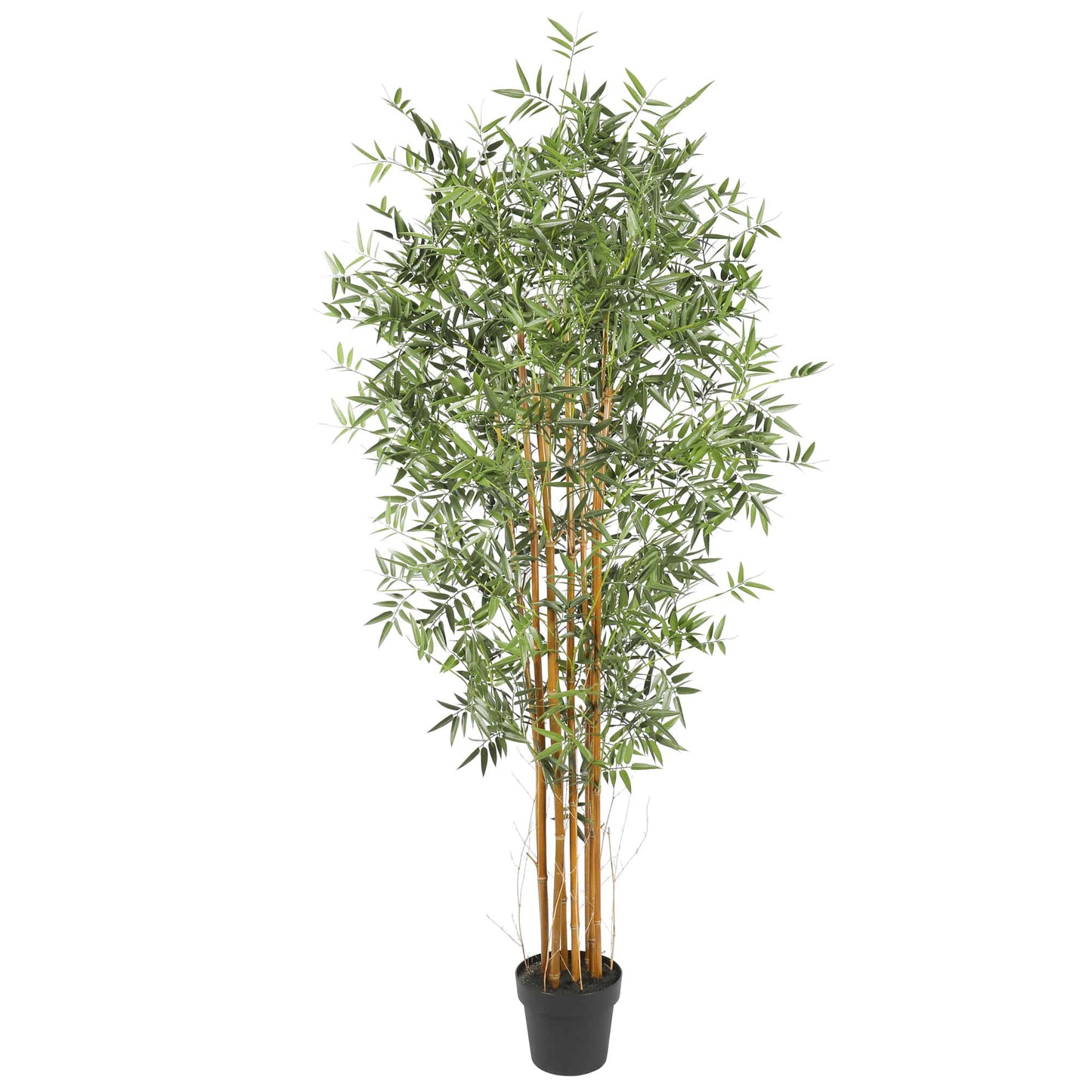 BABYLON Natural Cane Artificial Bamboo 180cm