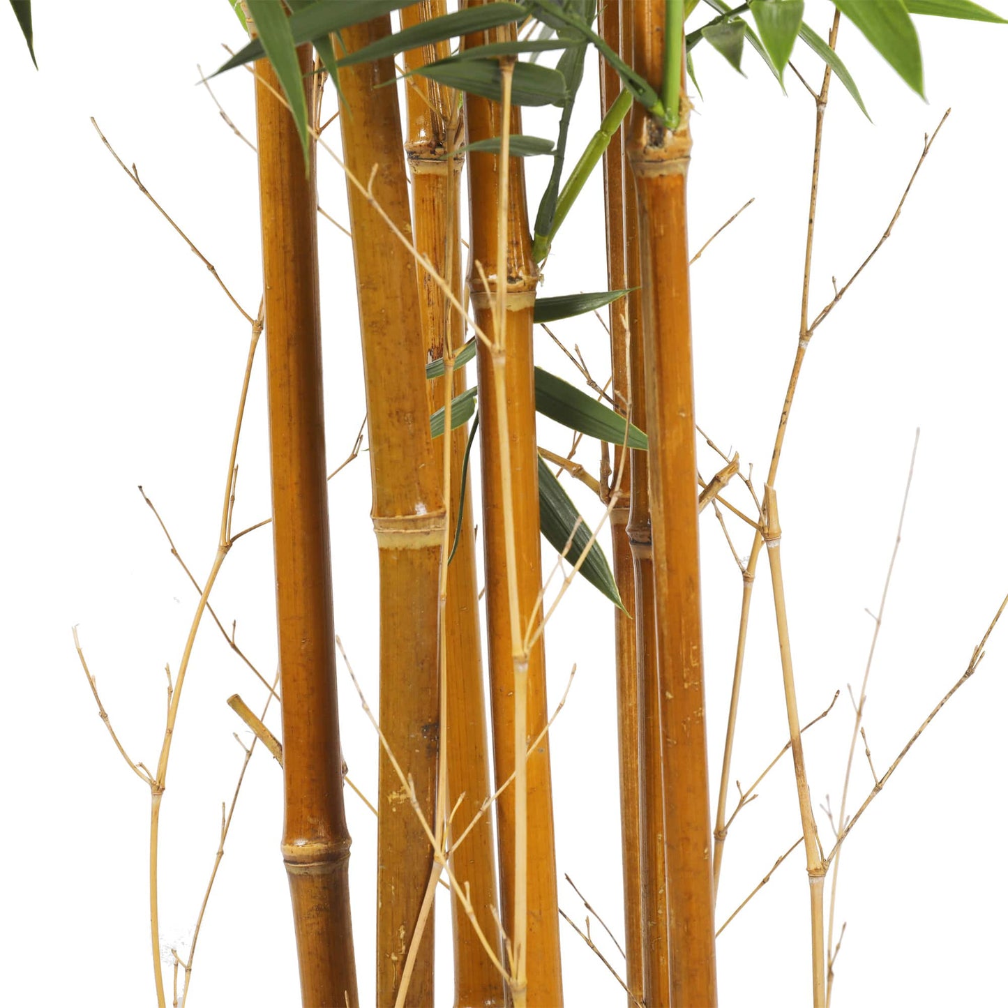 BABYLON Natural Cane Artificial Bamboo 180cm