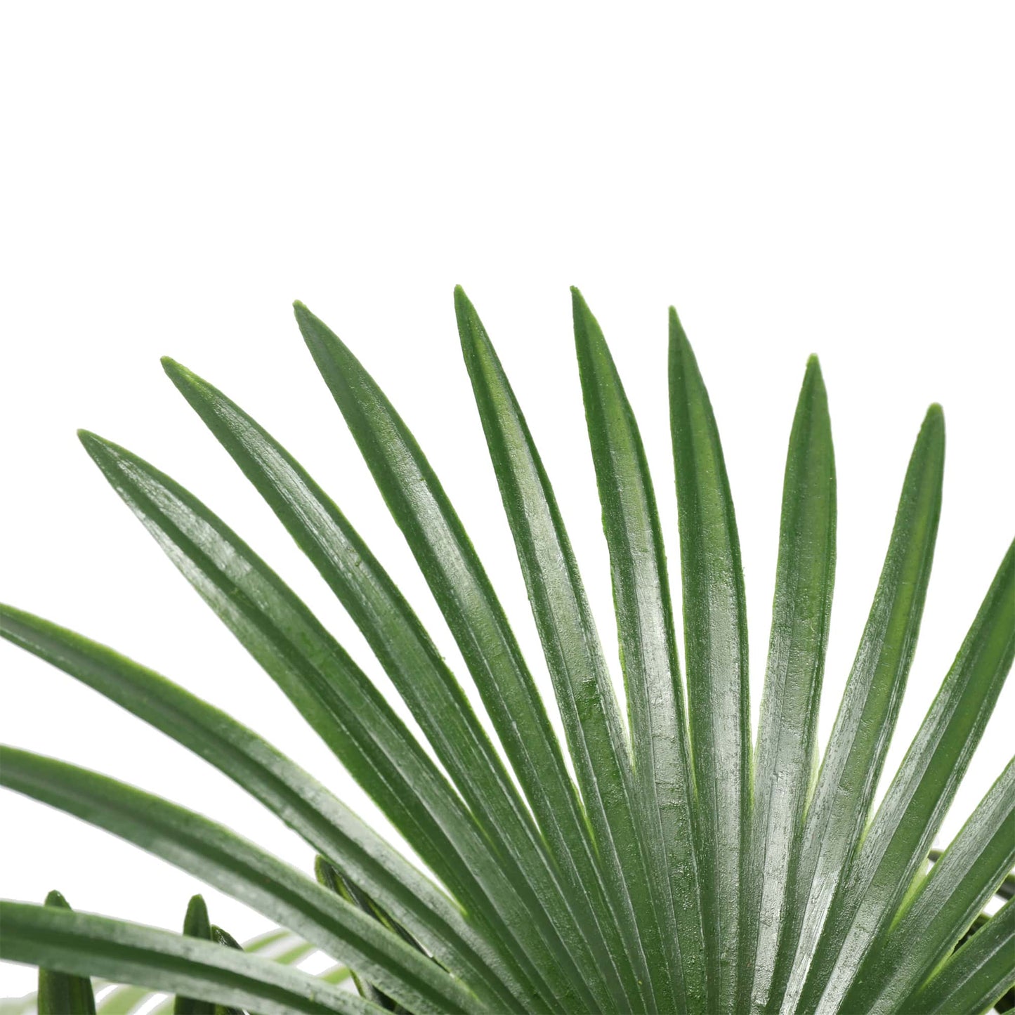 BABYLON Artificial Wide Leaf Fan Palm Tree 90cm